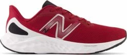 Running shoes New Balance Fresh Foam Arishi v4